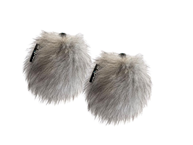 Radius Windshields FUR-00421