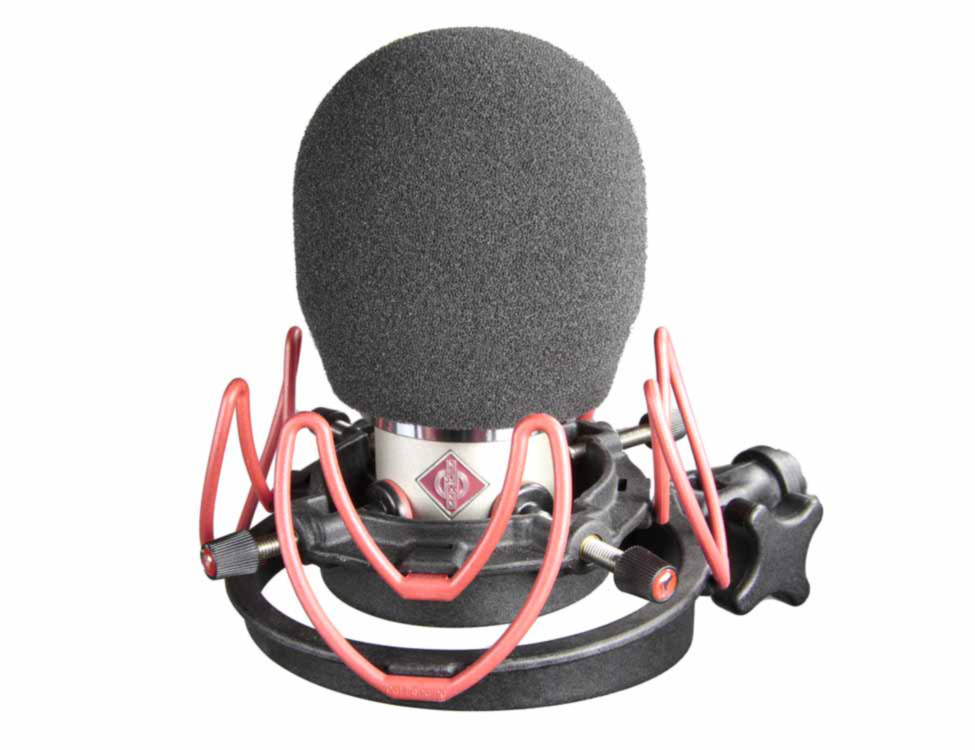 Rycote Neumann Tlm 102 Foam