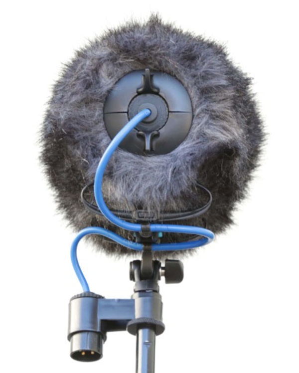 Cinela COSI-L-21