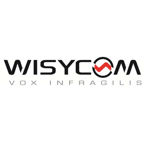 Wisycom Cables